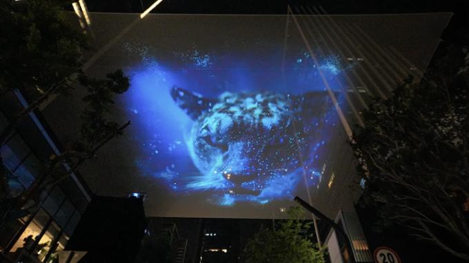 3D Hologauze Mesh Screen Polyamide Material For Event Stage Show