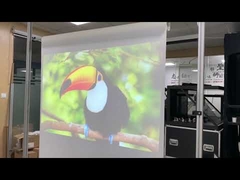 double sided projection film white