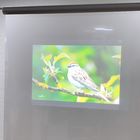 Holographic Projection Screen Film  , Rear Projection Film For Glass For Window Store