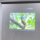 Holographic Self Adhesive Rear Projection Window Film Hologram 3D Display