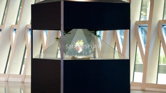 360 Degree 3D Pyramid Hologram Display Showcase / Clear 3D Hologram ...