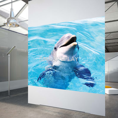 Quality High Contrast White Rear Projection Film 3D Holographic Projection Film For Shop Windows factory