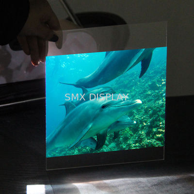 Quality Transparent 3D Holographic Projection Film Rear Window Hologram Projection Film factory