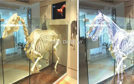 Quality 92% Clear 3D Transparent Rear Projection Film Advertising Holographic Glass Film factory