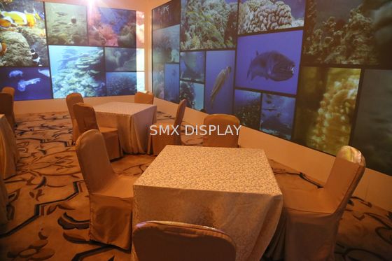 Quality Custom Size Projection Screens 4.5 x 50m Economic Fabric Black Border factory