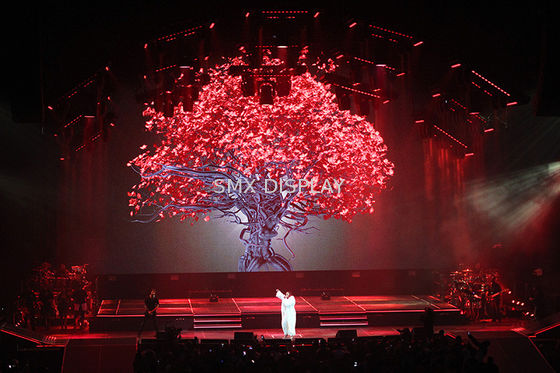 Quality Transparent Holographic Projection Screen Polyamide Material 3D Hologram Show factory