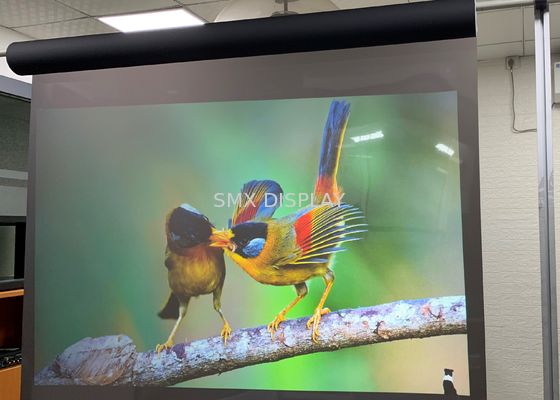 Quality Touch Window Advertising Screen Rear Projection Screen Film Transparent factory
