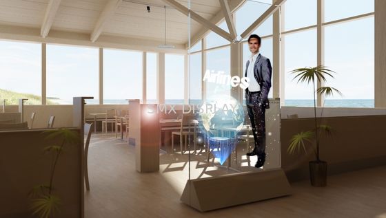 Quality Self Adhesive 170° 100um Holographic Rear Projection Film factory