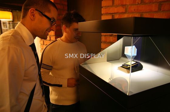 Quality 22 Inch 3D Holographic Showcase 3D Hologram Box for Advertising factory