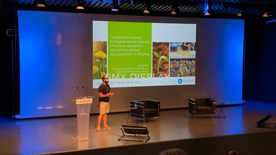 350inch Large Motorized Projection Screen With RF Remote Control